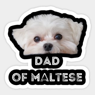 Dad of Maltese T-Shirt Sticker